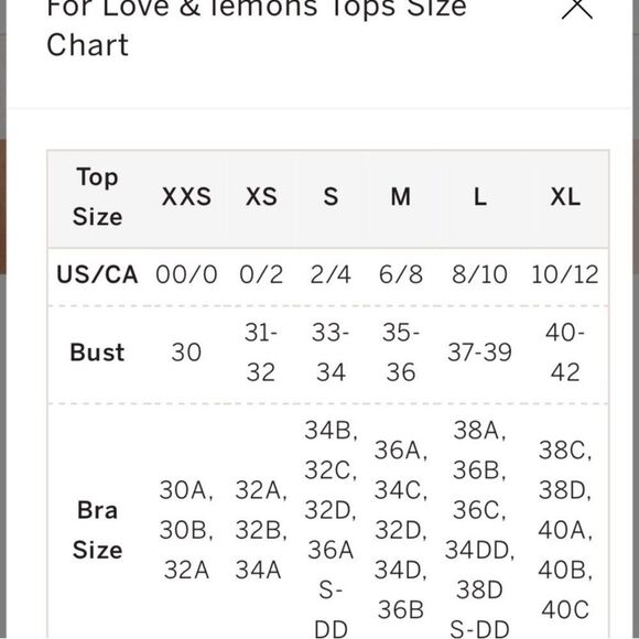 NWT For Love & Lemons Frankie Mini Leopard Dress Black Brown Size XS - Picture 8 of 11